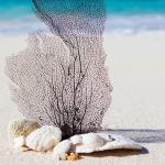 artist image Гімн України Рок-версія Harmonia de Yoga: Música Relaxante para a Meditação Mindfulness, Reiki, Equilibrando Corpo e Espírito