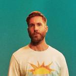 artist image Calvin Harris feat. Rihanna This Is What You Came For This Is What You Came For [Remixes] - EP