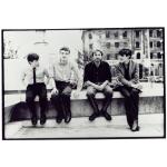 artist image Joy Division Disorder Unknown Pleasures (Collector's Edition)