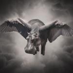 artist image Tom Morello feat. Knife Party Battle Sirens (feat. Knife Party) The Atlas Underground
