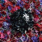 artist image Onsa Media Shadowgraph [Boogiepop wa Warawanai RUS] MUSEUM-THE BEST OF MYTH & ROID-