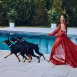 artist image Cardi B Press Press - Single