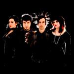 artist image Mindless Self Indulgence Faggot 