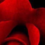 artist image Techno Project, Dj Geny Tur Arabic Night Arabic Night - Single