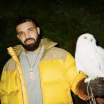 artist image Drake Massive (KREAM Remix) [Extended Mix] Honestly, Nevermind