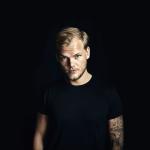 artist image Avicii Wake Me Up True