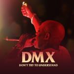 album image Party Up DMX: Don't Try to Understand - EP