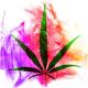 Reggae - Kingston
