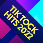 album image indila - ainsi bas la vida (tik tok remix slowed down) Tik Tock Hits 2022