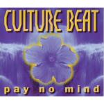 album image Pay No Mind (Radio Edit) (Eurodance - /id20720766) Pay No Mind - Single