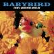 Babybird - If You'll Be Mine