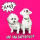 Slaves - Sockets