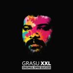 album image Domnul Destin (feat. Grasu XXL & Quess Who) Drumul Spre Succes