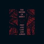 album image Nine While Nine First and Last and Always