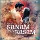 Sreerama Chandra - Haal - E - Dil (From "Sanam teri Kasam")
