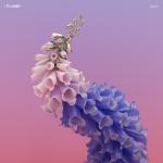 album image Never Be Like You Skin