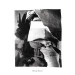 album image Cold (ft Lizzy Land) How You Gonna Stop It?