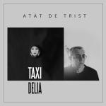 album image Atăt De Trist Atăt De Trist (feat. Delia) - Single