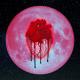 Chris Brown feat. Usher, Gucci Mane - Party
