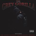 album image Na Na Na Na Na (Caught Slippin) Grey Gorilla