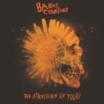 album image Kicks The Attractions of Youth