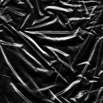 album image Freedom (feat. Pusha T) Human