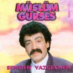 album image Hangimiz Sevmedik Senden Vazgeçmem