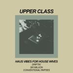 album image Conventional Parties Haus Vibes for House Wives - Single