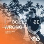 album image I Could Be Wrong (Club Mix) I Could Be Wrong - Single