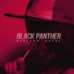 album image Панамеро Black Panther (feat. Rafal) - Single