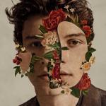 album image Fallin' All In You Shawn Mendes