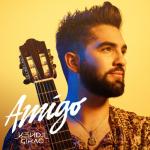 album image Pour oublier Amigo