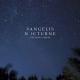 Vangelis - Vangelis: Nocturnal Promenade