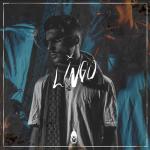album image Ice Baby Lingo
