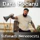 Dani Mocanu - Sa nu crezi ca am fost prost