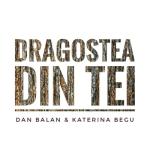 album image Dragostea Din Tei Dragostea Din Tei - Single