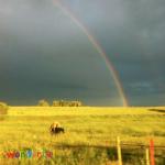 album image В пустоту Wonderful