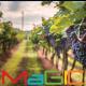Formatia Magic - Binei Sade Mese-I Mele