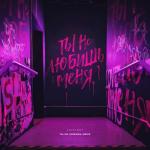 album image Ты не любишь меня Ты не любишь меня - Single