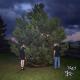 100 gecs, Laura Les, Dylan Brady - 745 sticky