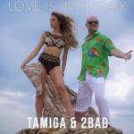 album image Love Is in the Air Love Is in the Air - Single