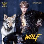 album image FACE WOLF