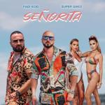 album image Señorita Señorita - Single