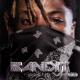 Juice WRLD, YoungBoy Never Broke Again - Bandit
