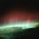 Year of the Moon - Among the Southern Lights