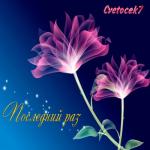 album image Сеньорита Последний раз