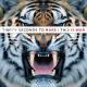 30 Seconds To Mars - Search And Destroy(на визов)
