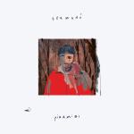 album image Ti sorprenderebbe Piramidi