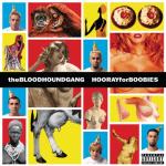 album image The Ballad Of Chasey Lain Hooray for Boobies