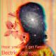 Electric Sparrow - Hope You Don't Get Famous